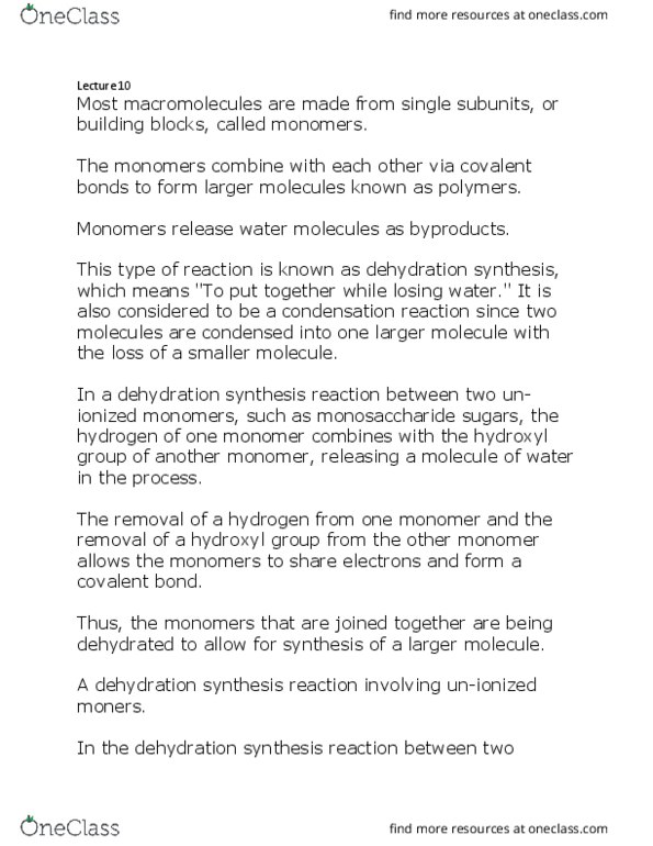 BIOL1001 Lecture Notes - Lecture 10: Maltose, Dehydration Reaction, Covalent Bond thumbnail