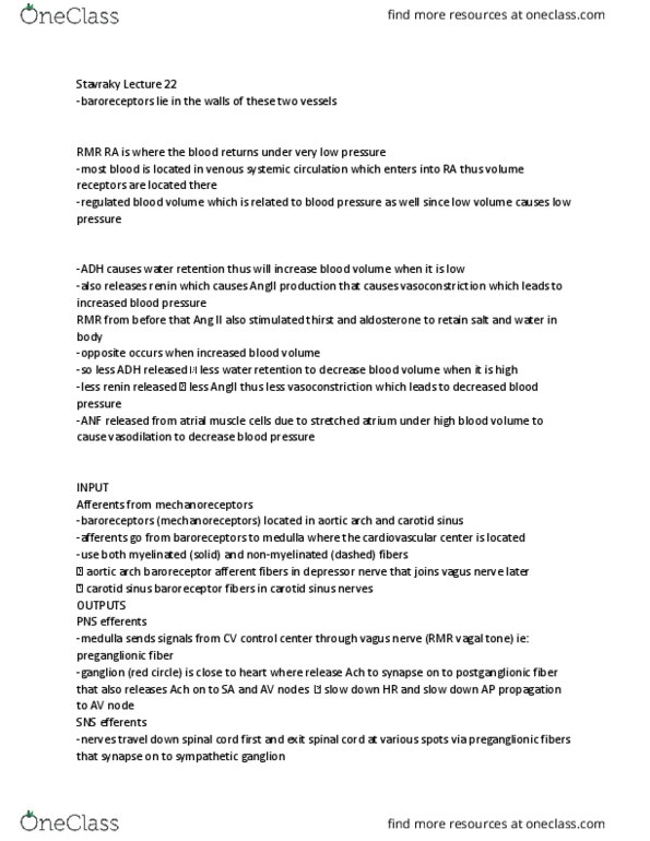 Physiology 3120 Lecture Notes - Lecture 22: Carotid Sinus, Vasomotor Center, Preganglionic Nerve Fibers thumbnail