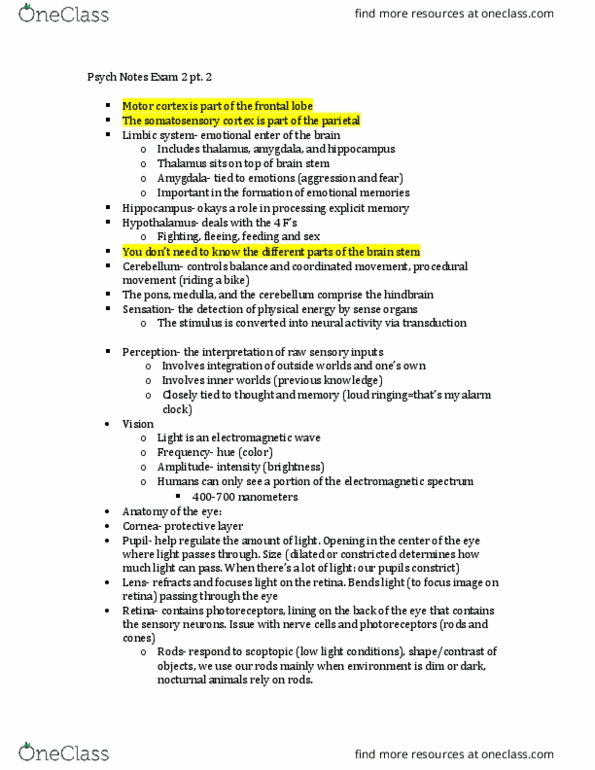 PSY-2012 Lecture Notes - Lecture 7: Presbycusis, Hindbrain, Optic Nerve thumbnail