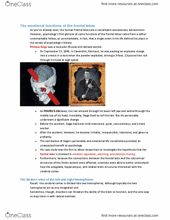PSYA01H3 Chapter Notes - Chapter 3: Phineas Gage, Roger Wolcott Sperry, Frontal Lobe thumbnail