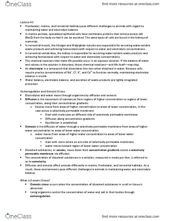 BIOL 1107 Lecture Notes - Lecture 43: Malpighian Tubule System, Osmotic Shock, Electrochemical Gradient thumbnail