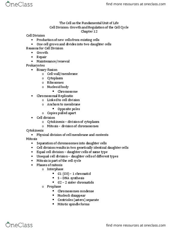 BSCI 105 Lecture Notes - Lecture 12: Spindle Apparatus, Sister Chromatids, Chromatid thumbnail