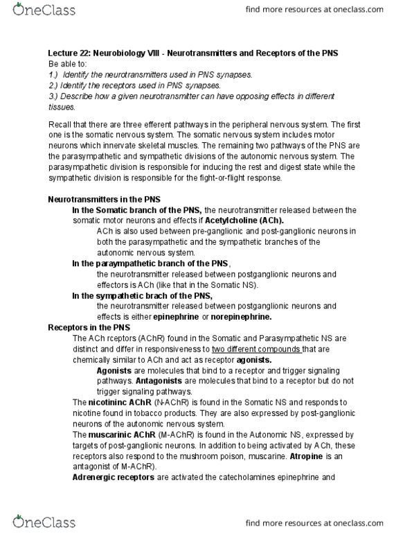 BIOL 336 Lecture Notes - Lecture 22: Parasympathetic Nervous System, Somatic Nervous System, Sympathetic Nervous System thumbnail