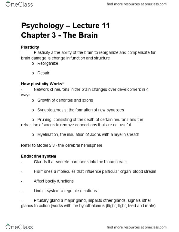 PS102 Lecture Notes - Lecture 11: Circadian Rhythm, Pineal Gland, Myelin thumbnail