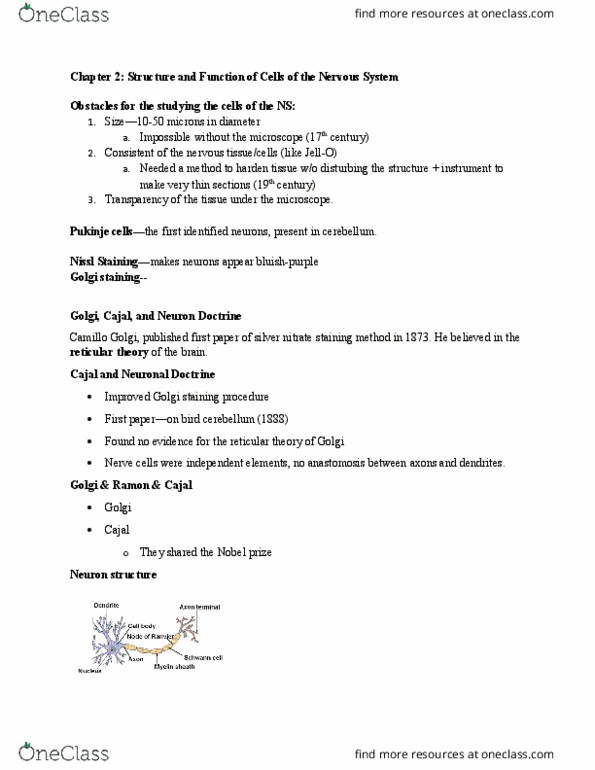 PSYC 362 Lecture Notes - Lecture 2: Camillo Golgi, Axon Terminal, Schwann Cell thumbnail