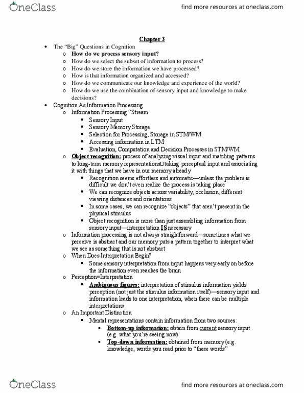 PSY-3217 Lecture Notes - Lecture 2: Outline Of Object Recognition, Visual Search, Gestalt Psychology thumbnail