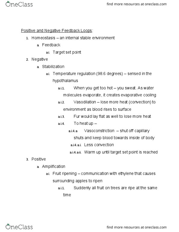 CHEM-UA 109 Lecture Notes - Lecture 12: Blood Sugar, Surface 3, Alpha Cell thumbnail