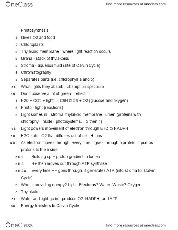 CHEM-UA 109 Lecture Notes - Lecture 11: Atp Synthase, Light-Independent Reactions, Electrochemical Gradient thumbnail