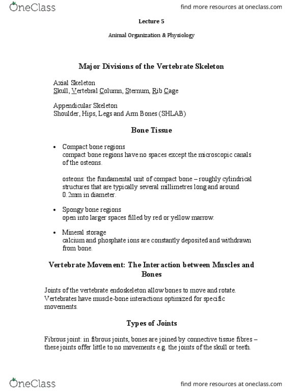 BIOA02H3 Lecture Notes - Lecture 5: Cartilaginous Joint, Synovial Joint, Neural Crest thumbnail