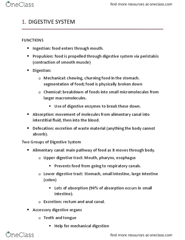 KNES 191B Lecture Notes - Lecture 8: Muscularis Mucosae, Loose Connective Tissue, Lamina Propria thumbnail