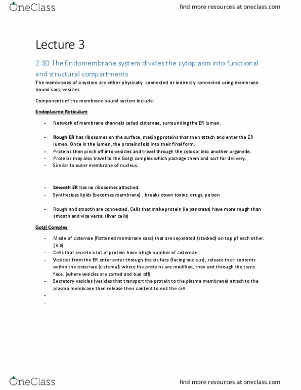 BIO 1140 Chapter Notes - Chapter 2.3-2.5: Secretion, Intermediate Filament, Endomembrane System thumbnail