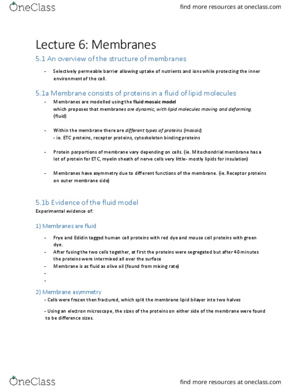 BIO 1140 Chapter Notes - Chapter 5: Myelin, Olive Oil, Cytoskeleton thumbnail