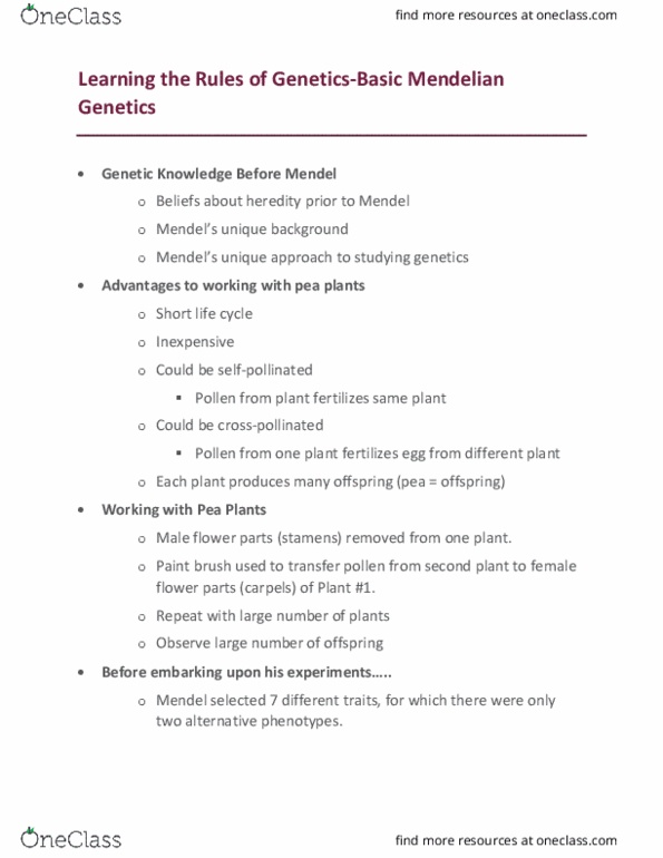 BIOL-Q 201 Lecture Notes - Lecture 16: Punnett Square, Gamete, Allele thumbnail