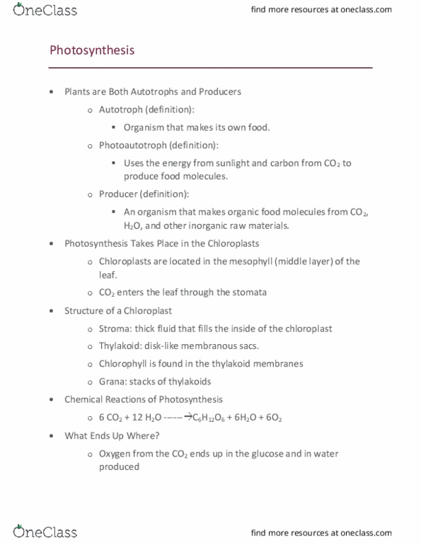 BIOL-Q 201 Lecture Notes - Lecture 13: Light-Independent Reactions, Light-Dependent Reactions, Carbon Fixation thumbnail