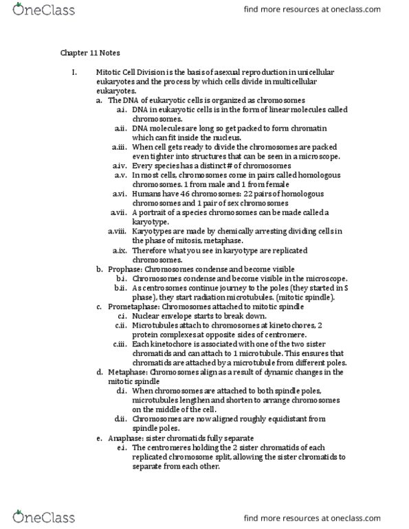 BIOS 1700 Lecture Notes - Lecture 11: Spindle Apparatus, Sister Chromatids, Cell Plate thumbnail