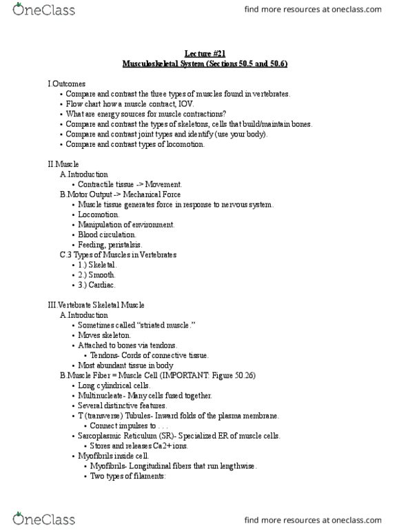 01:119:116 Lecture Notes - Lecture 21: Flowchart, Myosin Head, Cytosol thumbnail