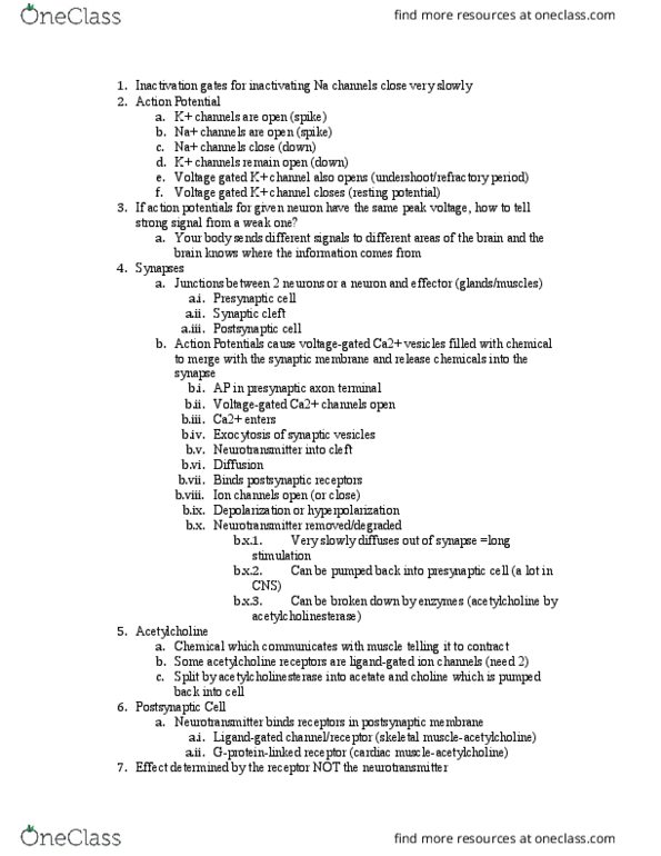 BIOS 1710 Lecture Notes - Lecture 3: Thoracic Cavity, Epiphyseal Plate, Visual Cortex thumbnail