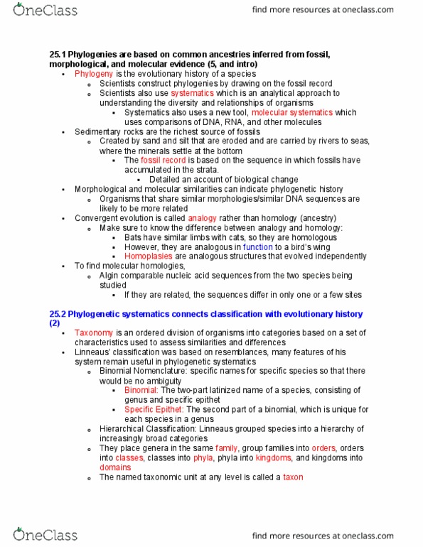LIFESCI 4 Chapter Notes - Chapter 25.1 - 25.3: Geologic Time Scale, Paraphyly, Ingroups And Outgroups thumbnail