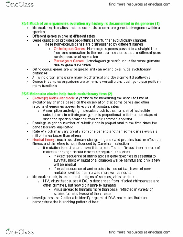 document preview image
