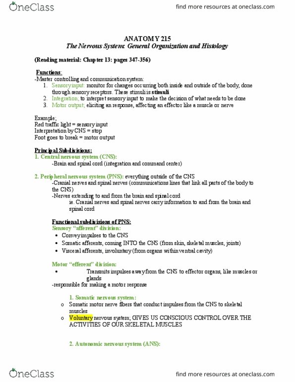 ANAT 215 Lecture Notes - Lecture 4: Ependyma, Myosatellite Cell, Invertebrate thumbnail