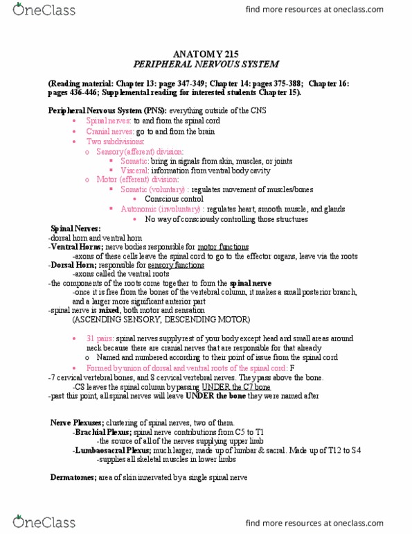 ANAT 215 Lecture Notes - Lecture 7: Brainstem, Trapezius Muscle, Soft Palate thumbnail