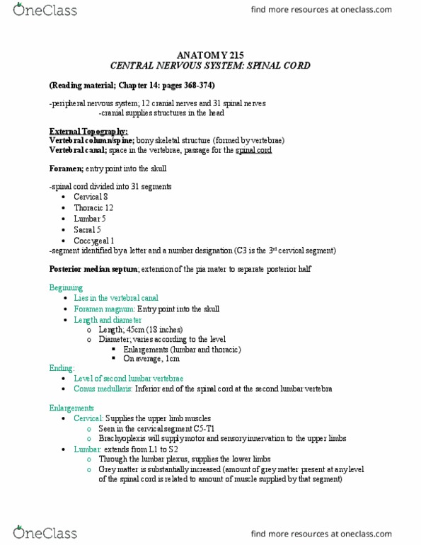 ANAT 215 Lecture Notes - Lecture 6: Myelin, Filum Terminale, Cerebral Cortex thumbnail