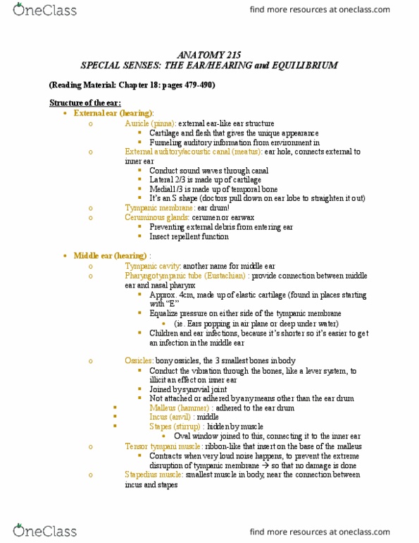 ANAT 215 Lecture Notes - Lecture 10: Ampulla, Auditory Cortex, Vestibular Duct thumbnail