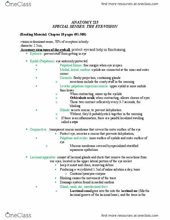 ANAT 215 Lecture Notes - Lecture 9: Motor Neuron, Retina, Peripheral Vision thumbnail