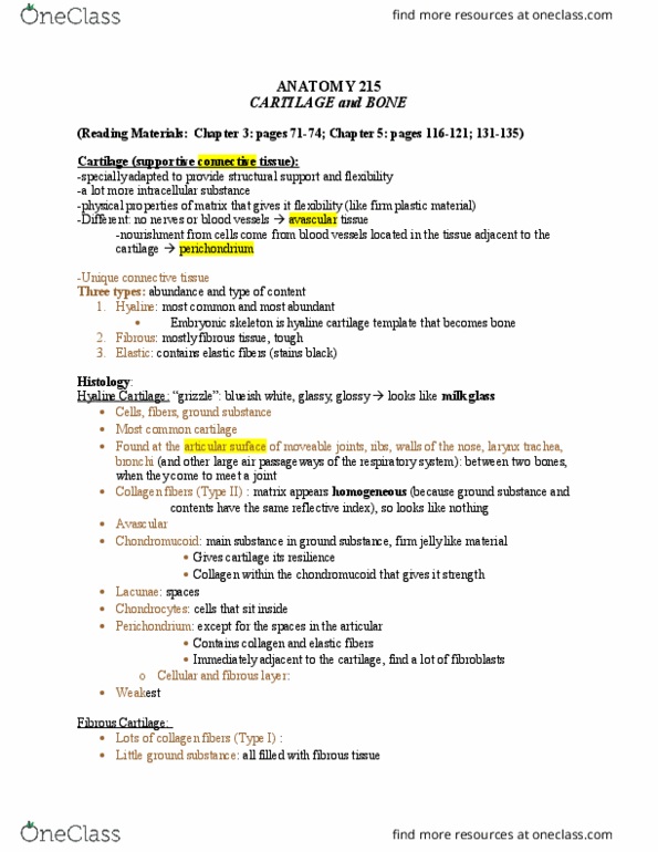 ANAT 215 Lecture Notes - Lecture 11: Osteoblast, Calcium Carbonate, Osteoclast thumbnail