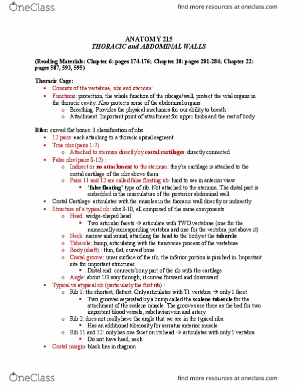 ANAT 215 Lecture Notes - Lecture 16: Suprasternal Notch, Pectoralis Major Muscle, Pectoralis Minor Muscle thumbnail