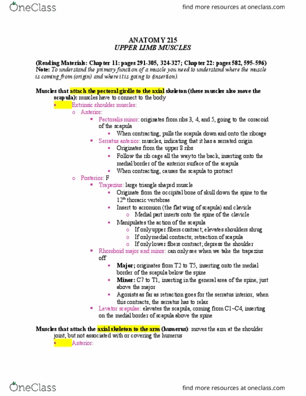 ANAT 215 Lecture Notes - Lecture 19: Ulnar Artery, Median Nerve, Ulna thumbnail