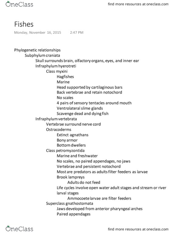 BZ 110 Lecture Notes - Lecture 7: Creatinine, Ovoviviparity, Pylorus thumbnail