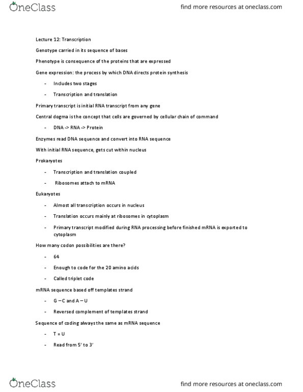 BIO SCI 93 Lecture Notes - Lecture 12: Polyadenylation, Tata Box, Primary Transcript thumbnail