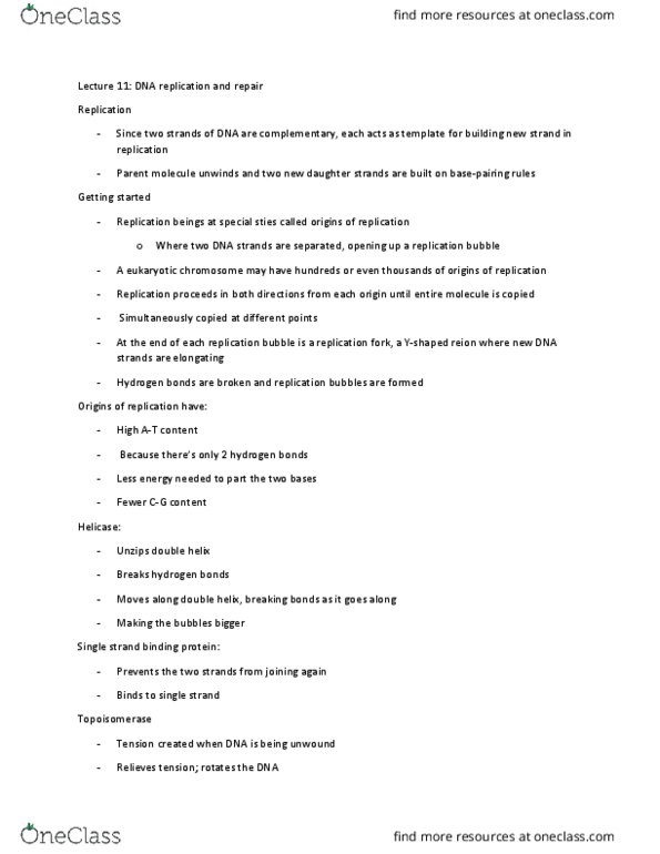 BIO SCI 93 Lecture Notes - Lecture 11: Ciprofloxacin, Dna Mismatch Repair, Polynucleotide thumbnail