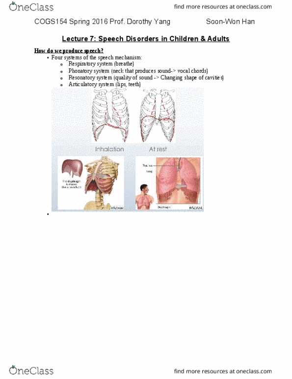 COGS 154 Lecture Notes - Lecture 7: Basal Ganglia, Muscle Atrophy, Groping thumbnail