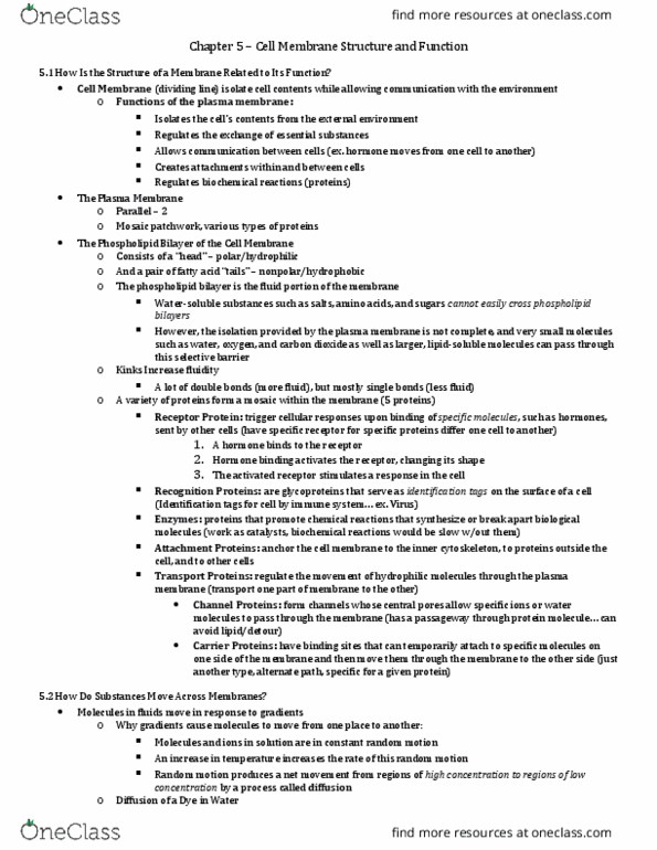 BIO 101 Lecture Notes - Lecture 5: Facilitated Diffusion, Aquaporin, Phagocytosis thumbnail