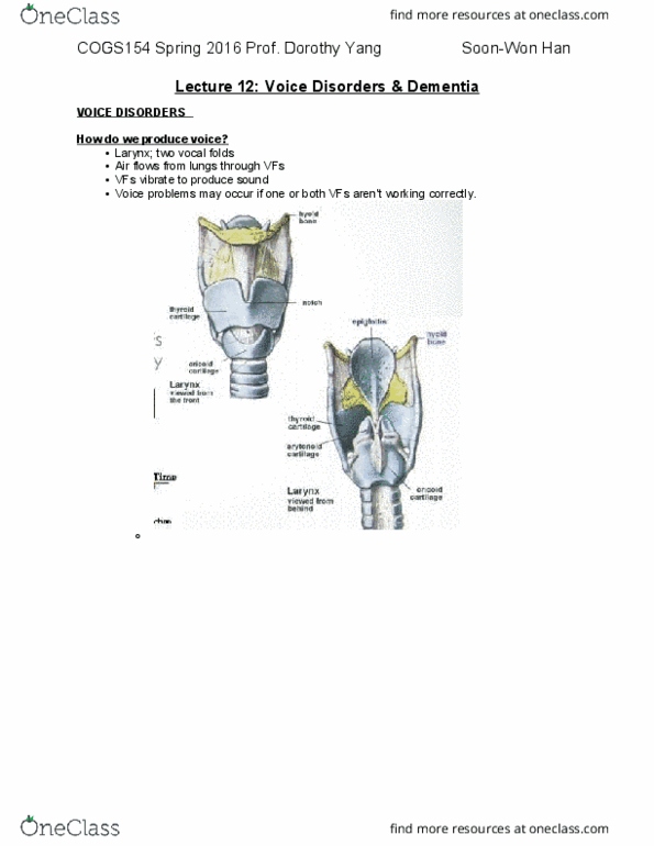 COGS 154 Lecture Notes - Lecture 12: Histology, Semantic Dementia, Cardiovascular Disease thumbnail