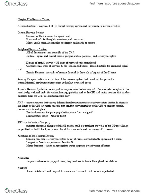 NUR 313 Lecture Notes - Lecture 1: Microfilament, Schwann Cell, Pseudounipolar Neuron thumbnail