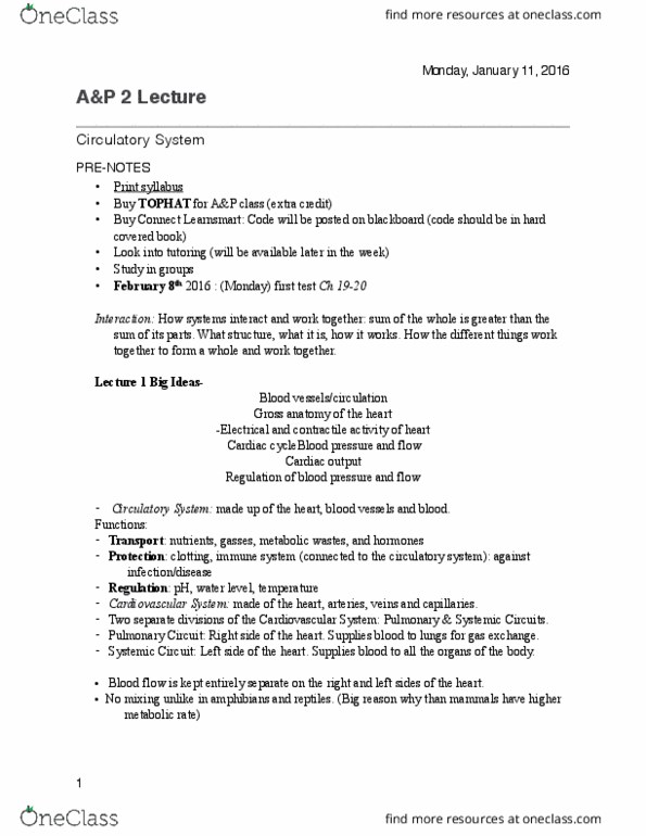 BIOL 1119 Lecture 1: Circulatory System Lecture 1 Notes thumbnail