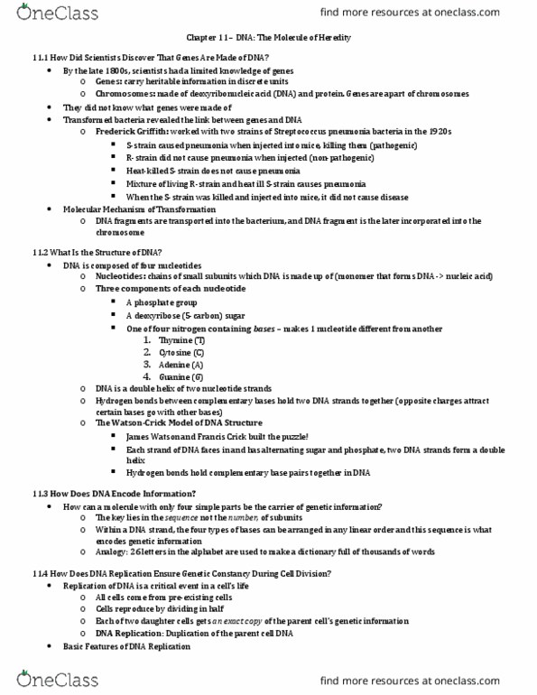 BIO 101 Lecture Notes - Lecture 11: Ultraviolet, Radiography, Point Mutation thumbnail