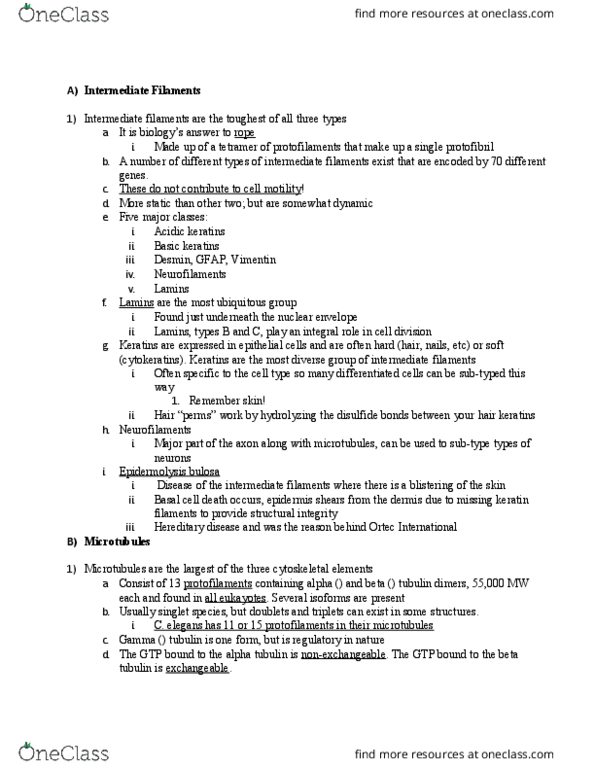 BIOL 311 Lecture Notes - Lecture 12: Melanosome, Gout, Metaphase thumbnail