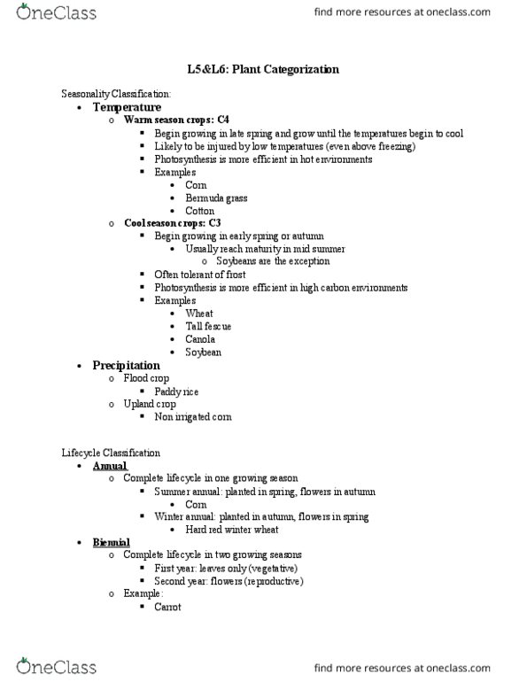 PLNT 1213 Lecture Notes - Lecture 4: Kenaf, Bioenergy, Horseradish thumbnail