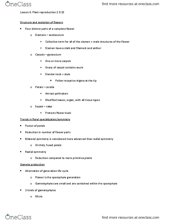 BIOL 1105 Lecture Notes - Lecture 3: Body Plan, Vegetative Reproduction, Fruit Anatomy thumbnail