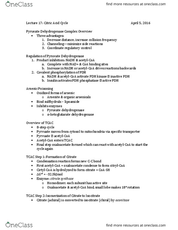 BMCB 658 Lecture Notes - Lecture 17: Succinic Acid, Oxidative Decarboxylation, Fumarase thumbnail