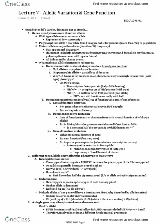 BIOL 1090 Lecture Notes - Lecture 7: Null Allele, Wild Type, Antennapedia thumbnail