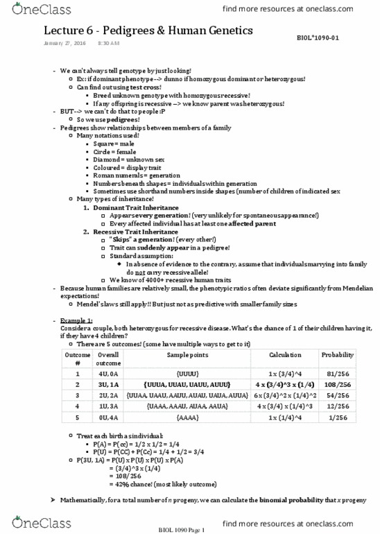 BIOL 1090 Lecture Notes - Lecture 6: Binomial Distribution, Zygosity thumbnail