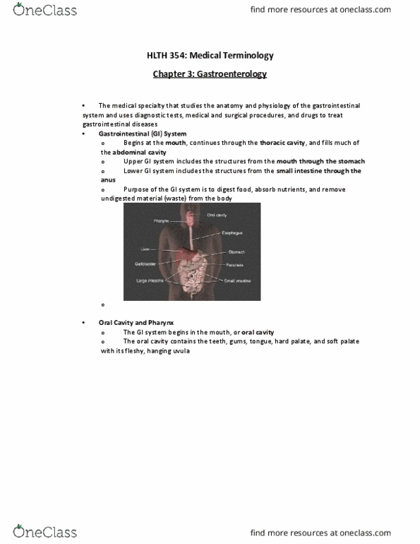 VIBS 204 Lecture Notes - Lecture 2: Common Bile Duct, Abdominopelvic Cavity, Common Hepatic Duct thumbnail