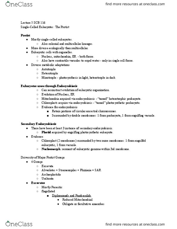 BSC 116 Lecture Notes - Lecture 5: Symbiogenesis, Facultative Anaerobic Organism, Heterokont thumbnail