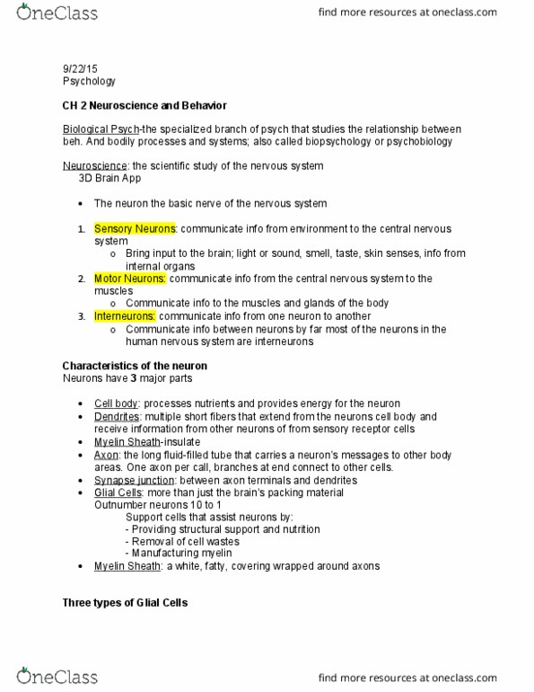 PSY-P 101 Lecture Notes - Lecture 8: Myelin, Axon Terminal, Behavioral Neuroscience thumbnail