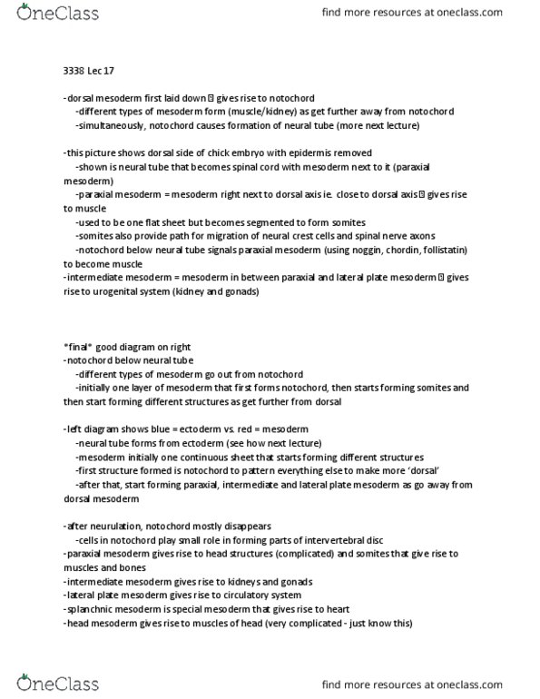 Biology 3338A Lecture Notes - Lecture 17: Paraxial Mesoderm, Lateral Plate Mesoderm, Ephrin Receptor thumbnail